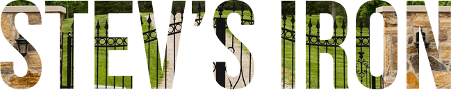 A green background with the letter s in front of a gate.