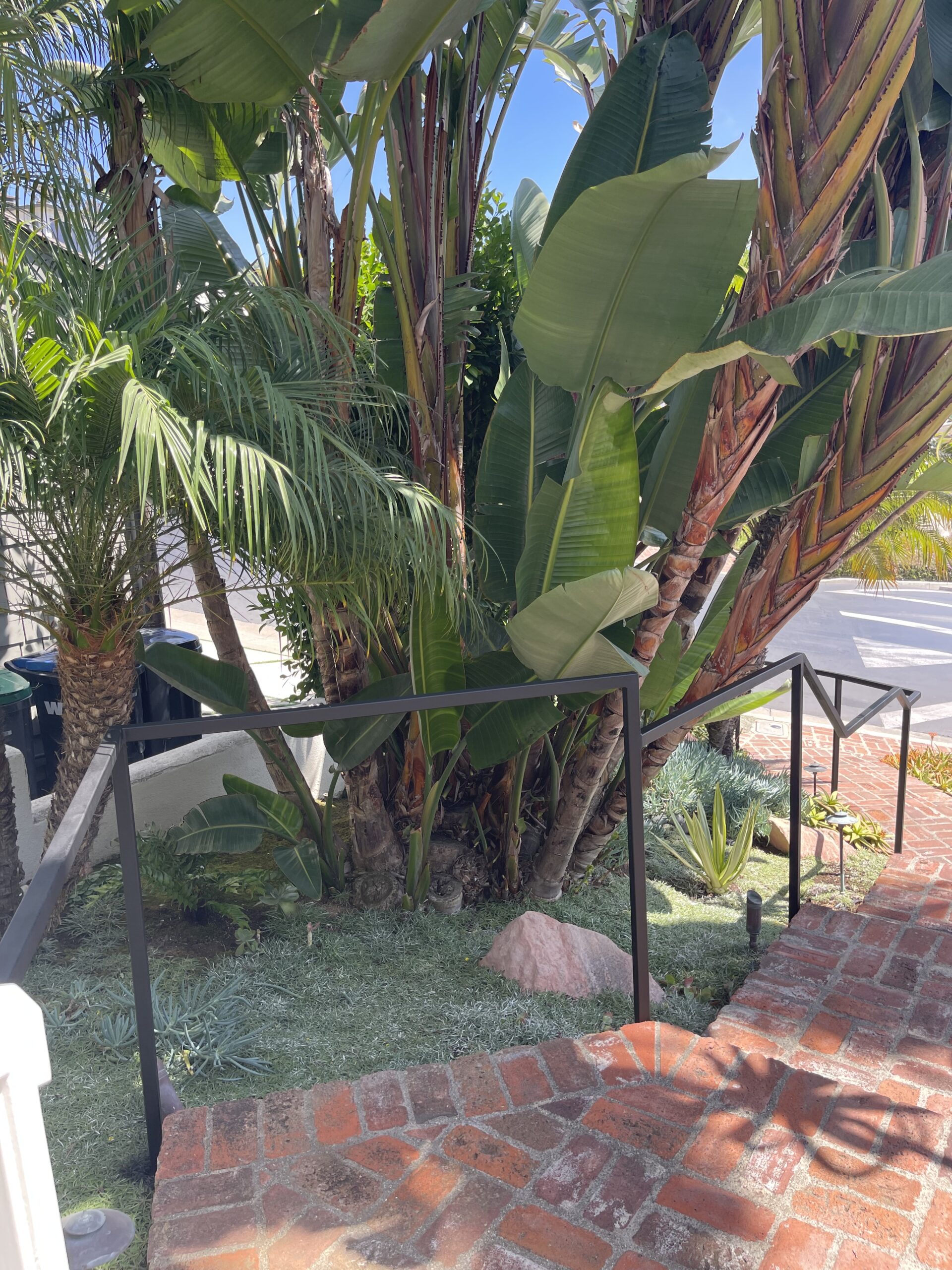 Brick steps with tropical plants and trees.